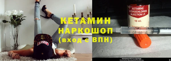 стаф Алзамай