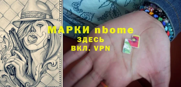 стаф Алзамай
